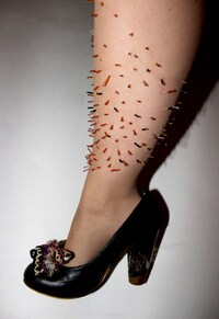 Human Decay Artwork Image 4