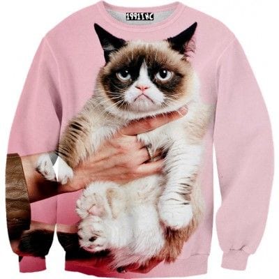 32 Grumpy Cat Innovations