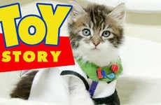 Cute Kitten Disney Parodies
