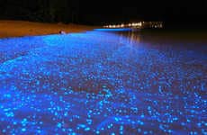 Luminous Beachtography