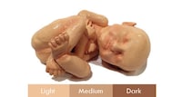 Custom 3D Printed Fetuses Image 2