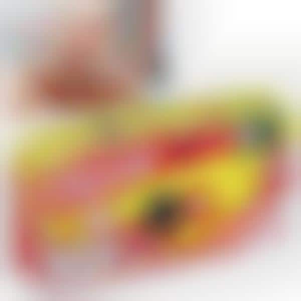 Bacon-Themed Cameras