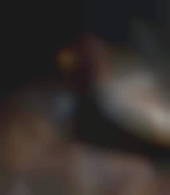 Superhero Rodent Photography