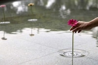 Floating Flower Vases Image 2