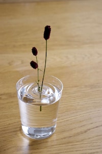 Floating Flower Vases Image 4