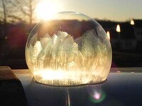 Feathered Frozen Bubbles Image 3
