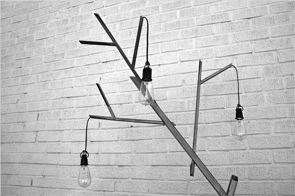 Crooked Arboreal Illuminators Image 2
