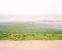 Alienating Coastline Photography Image 8