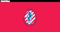 Sports Fusion Logo Redesigns Image 5