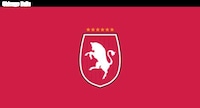 Sports Fusion Logo Redesigns Image 6