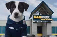 Canine Car Shop Ads