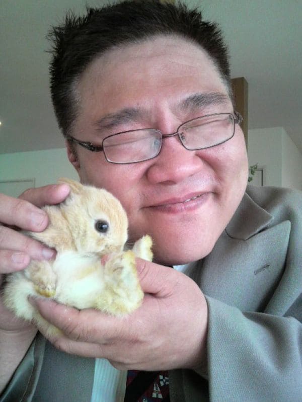 Bunny-Snuggling Cafes