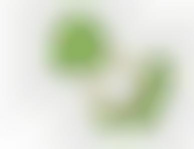 Plant-Based Baby Teethers