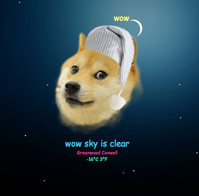 Internet Dog Weather Forecasts