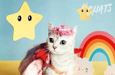 Personified Feline Photography Books