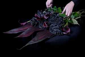 Ink-Bleeding Black Roses