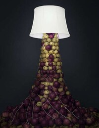 Fruit Battery Photography (UPDATE) Image 2