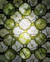 Fruit Battery Photography (UPDATE) Image 4