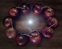 Fruit Battery Photography (UPDATE) Image 5