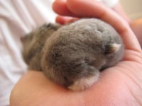 Adorable Bum Photography Image 6