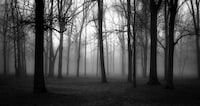 Evocative Grayscale Landscapes Image 3