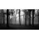 Evocative Grayscale Landscapes Image 3