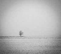 Evocative Grayscale Landscapes Image 5