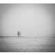 Evocative Grayscale Landscapes Image 5