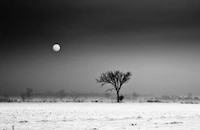 Evocative Grayscale Landscapes Image 6