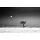 Evocative Grayscale Landscapes Image 6