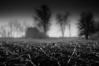 Evocative Grayscale Landscapes Image 7