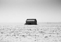 Evocative Grayscale Landscapes Image 8