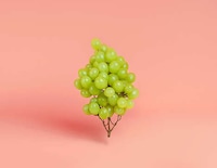 Geometrically Arranged Edibles Image 6