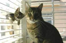 Adorable Mini-Me Photography