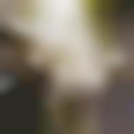 Sustainably Monolithic Museums