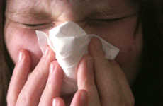 Online Flu Predictors