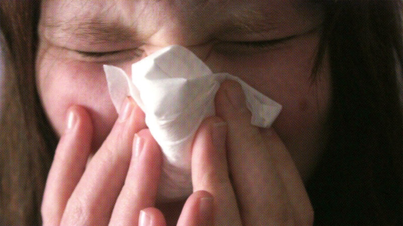 Online Flu Predictors