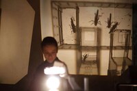 Illuminated Insect World Projections Image 3