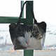 Collosal Feline Printed Totes Image 4