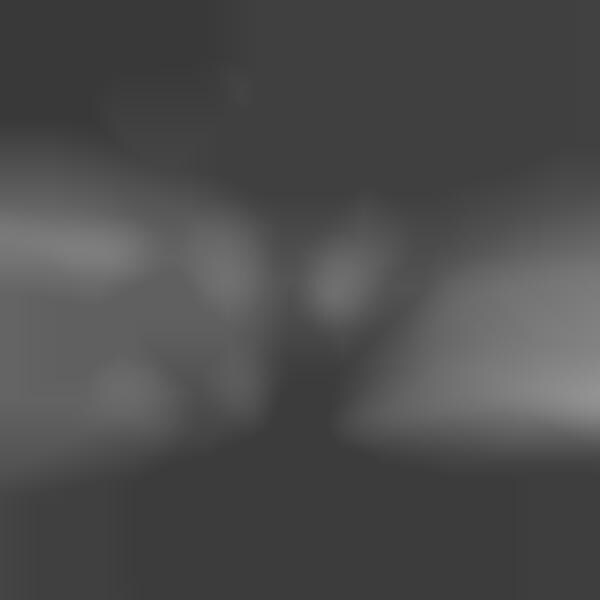 Morphed Monochromatic Captures