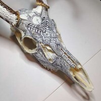 Decorative Skeleton Art Image 3