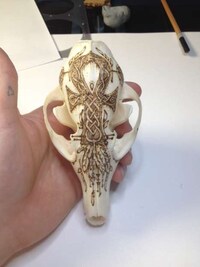 Decorative Skeleton Art Image 5