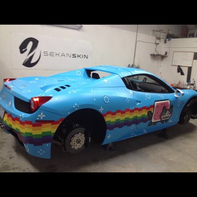 Viral Kitty Supercars