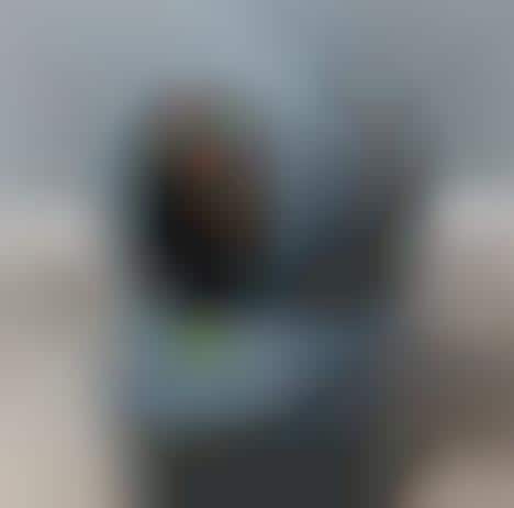 Robotic Self-Cleaning Litter Boxes