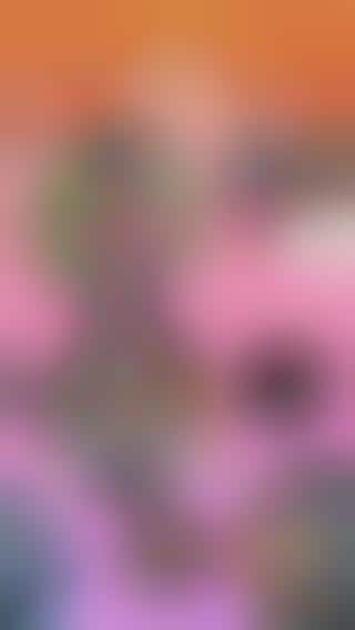 Video Snippet Apps