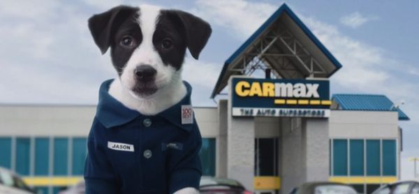 14 Adorable Canine Commercials