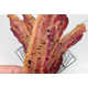 Oreo-Layered Bacon Recipes Image 2