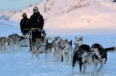 Airport Dog-Sled Taxi Services