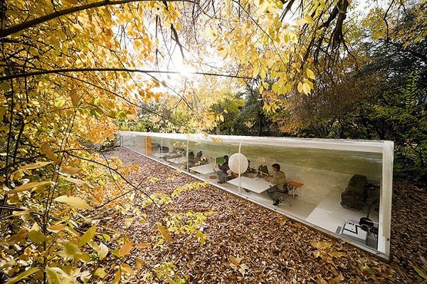 Forest Secluded Office Spaces
