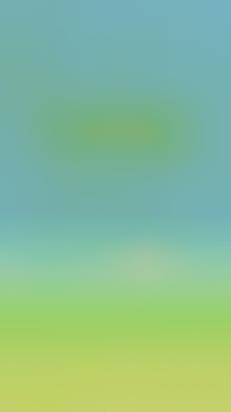 Addicting Avian Gaming Apps